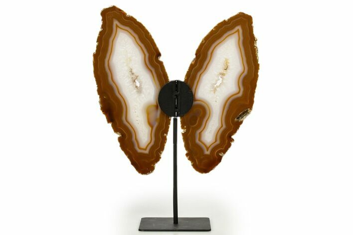 Agate Butterfly Wings - Brazil #322227